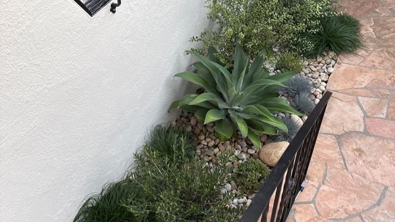 Lawn care and garden maintenance professional serving homes in Los Angeles, California