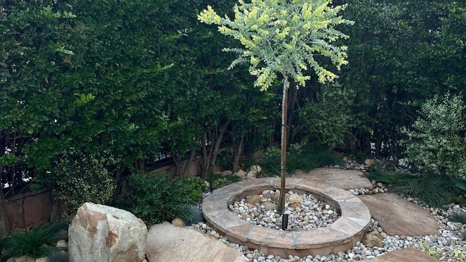 Lawn care and garden maintenance professional serving homes in Los Angeles, California